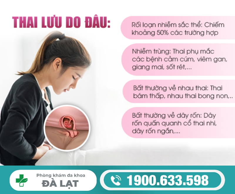 Hình ảnh minh họa